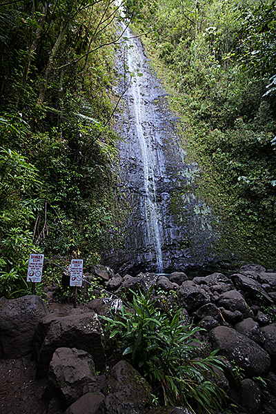 Manoa Falls Oahu Hawaii