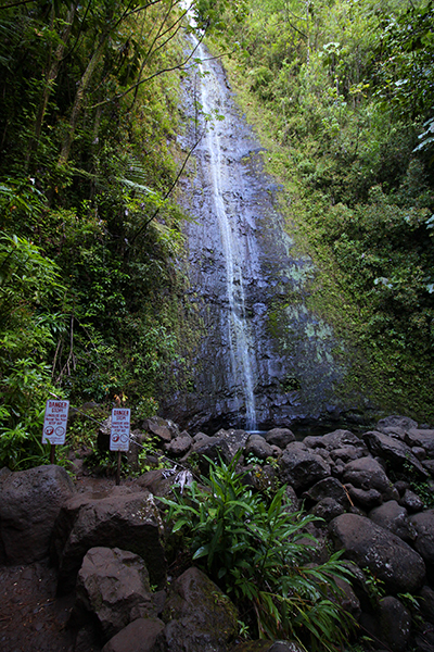 Manoa Falls Oahu Hawaii