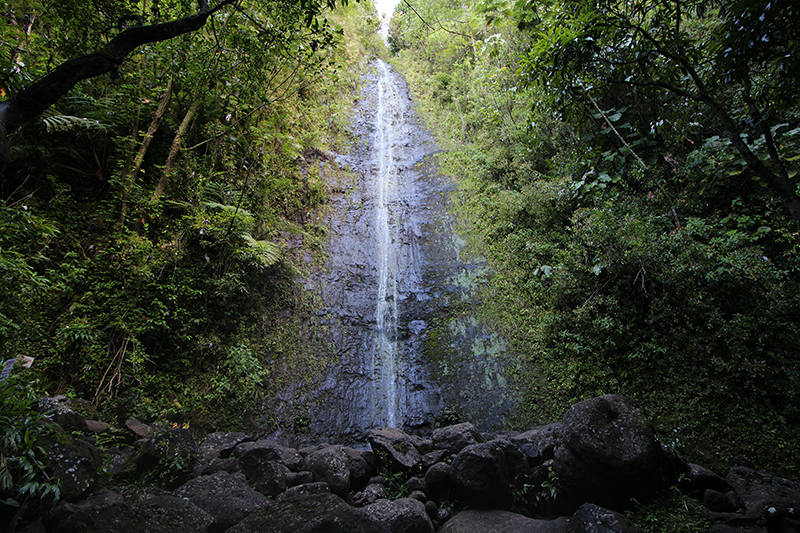 Manoa Falls Oahu Hawaii