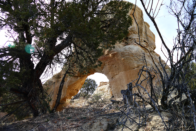 Mansfield Canyon