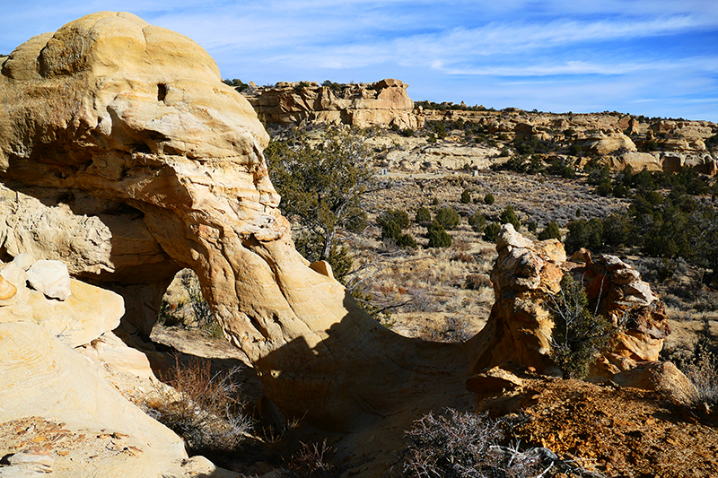 Mansfield Canyon