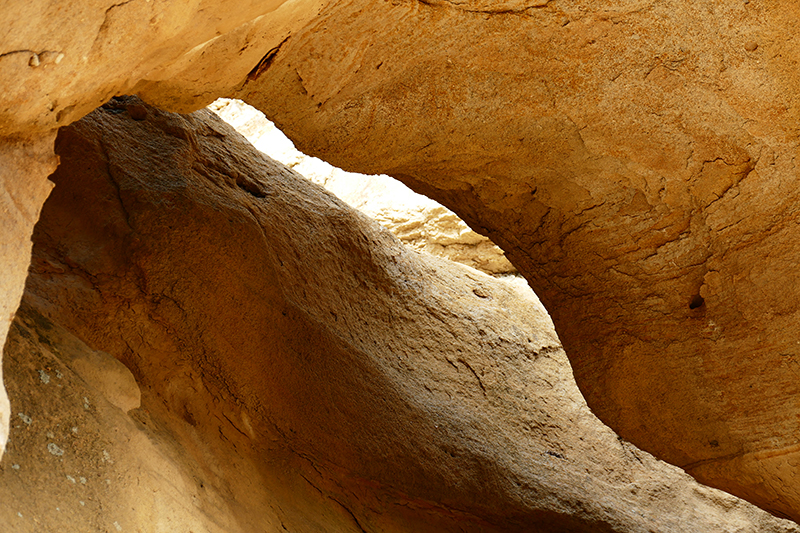 Mansfield Canyon