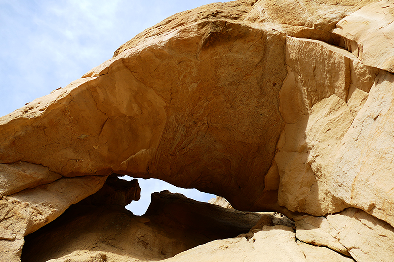 Mansfield Canyon