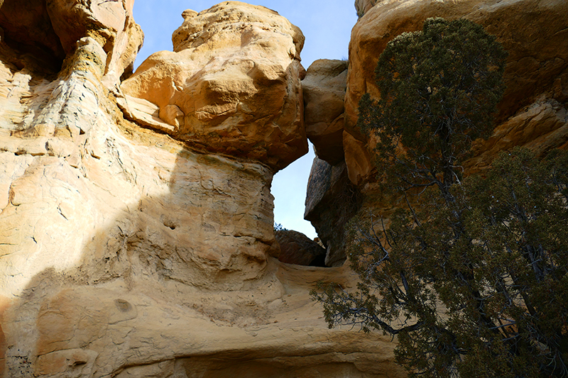 Manzanares Canyon