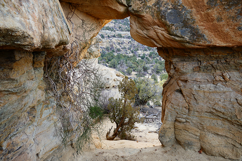 Manzanares Canyon