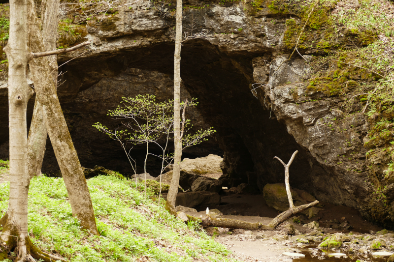 Bilder Maquoketa Caves State Park [Raccoon Creek] - Pictures Maquoketa Caves State Park [Raccoon Creek]