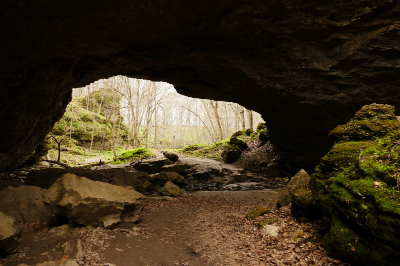 Maquoketa Caves State Park [Raccoon Creek]