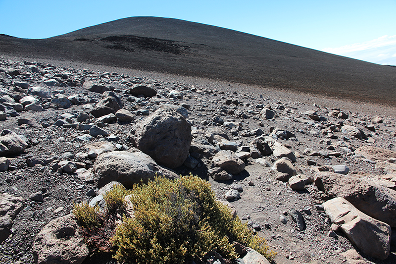 Mauna Kea weisser Berg Big Island Hawaii