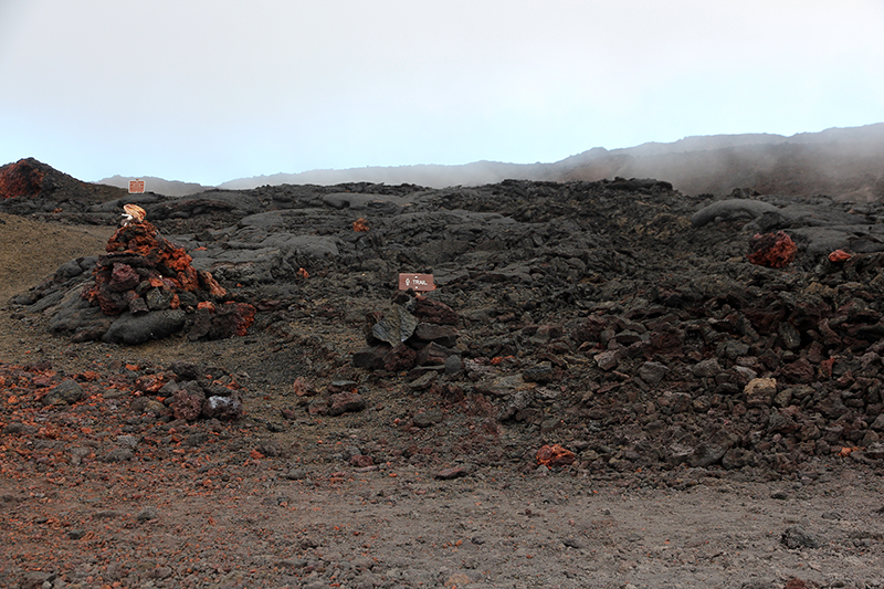 Mauna Loa (langer Berg) - Observatory and Summit Trail