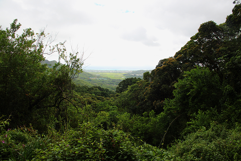 Maunawili Valley - Ko'olau Range