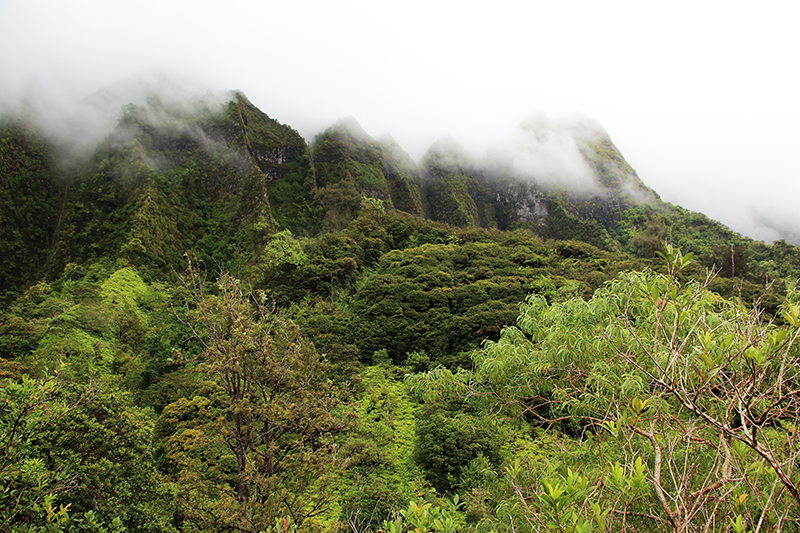 Maunawili Valley - Ko'olau Range