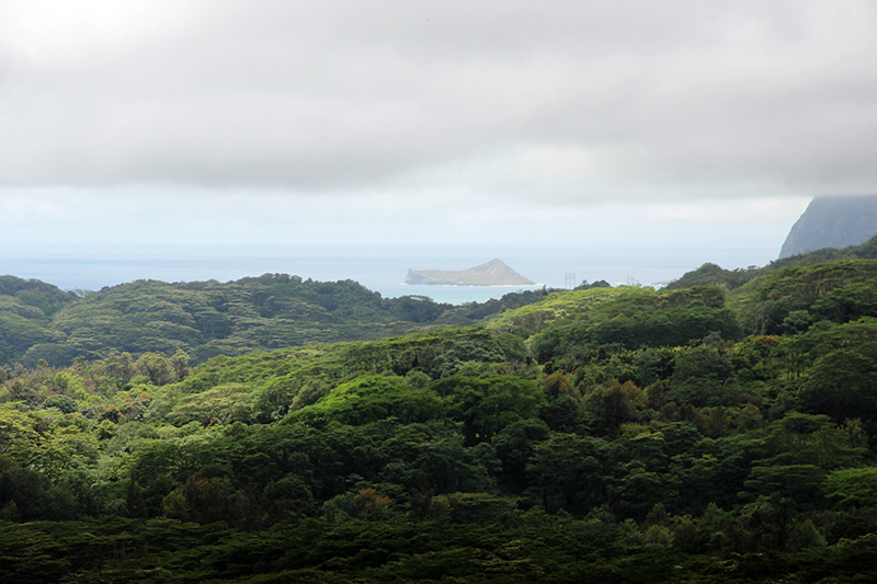 Maunawili Valley - Ko'olau Range