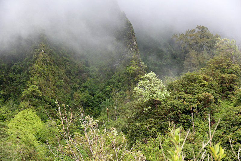 Maunawili Valley - Ko'olau Range