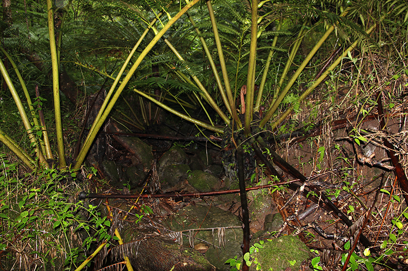 Maunawili Valley - Ko'olau Range