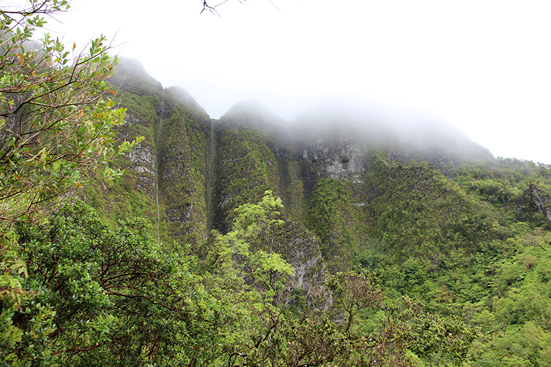 Maunawili Valley - Ko'olau Range