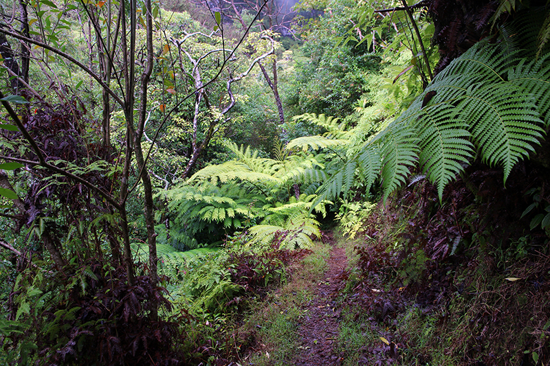 Maunawili Valley - Ko'olau Range