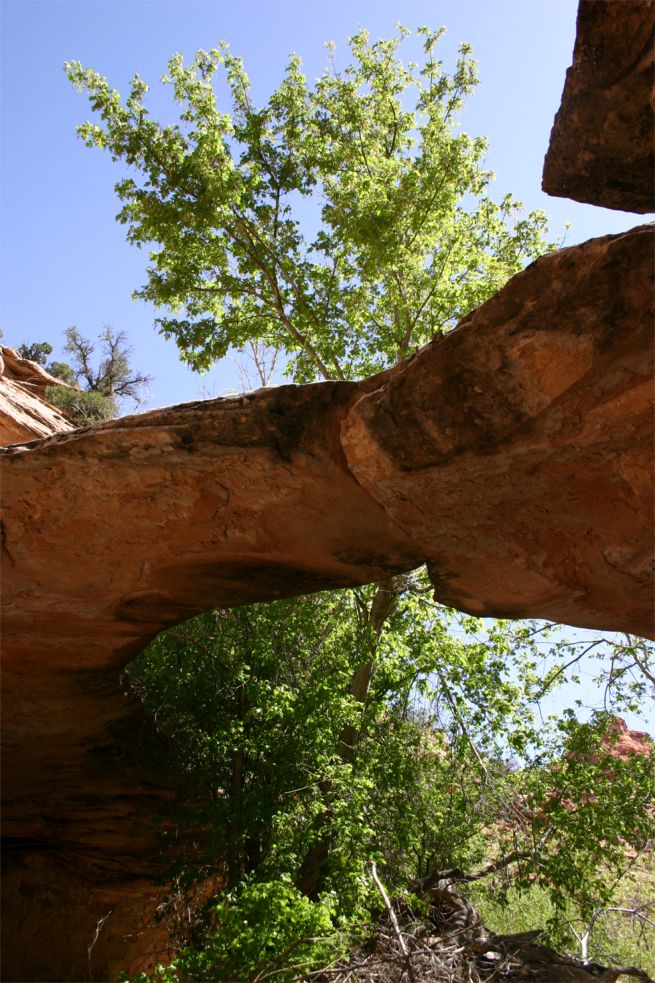 Maverick Natural Bridge