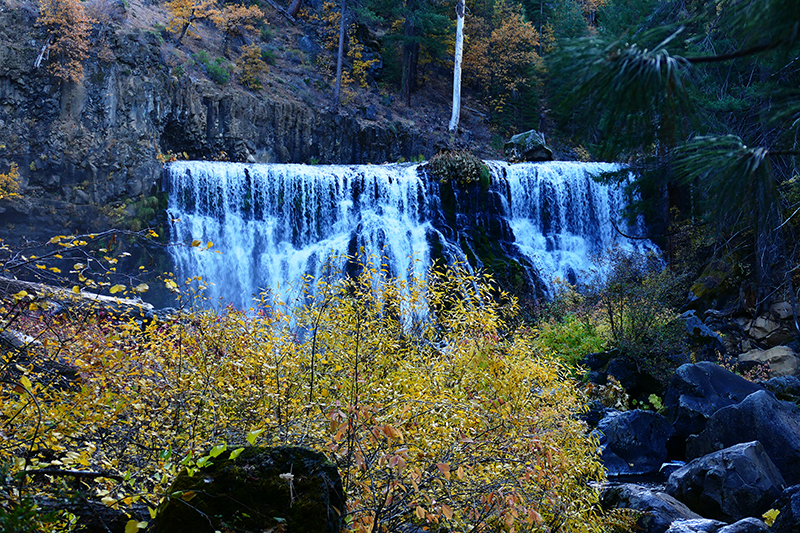 McCloud Creek - Middle Falls