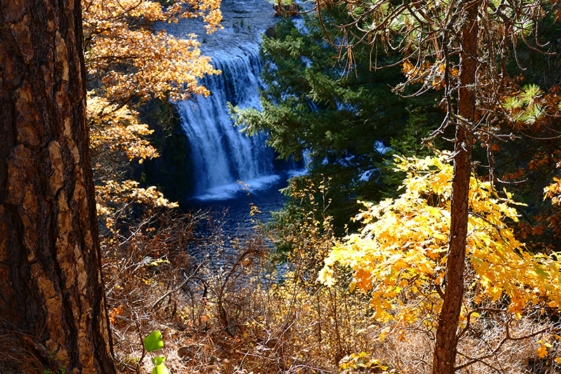 McCloud Falls