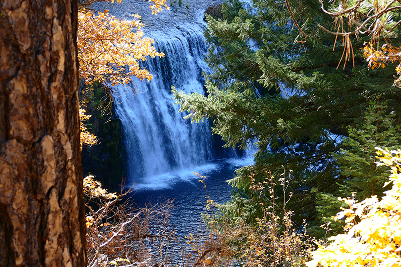 McCloud Falls [Lower Falls - Middle Falls - Upper Falls]