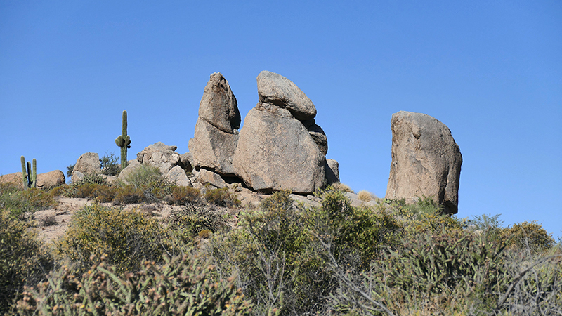 Mc Dowell Mountains