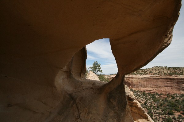 Mee Canyon Trail Arch