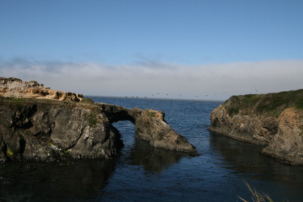 Mendocino Arch