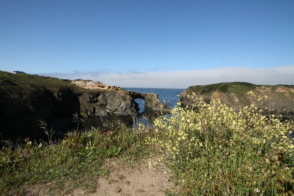 Mendocino Arch