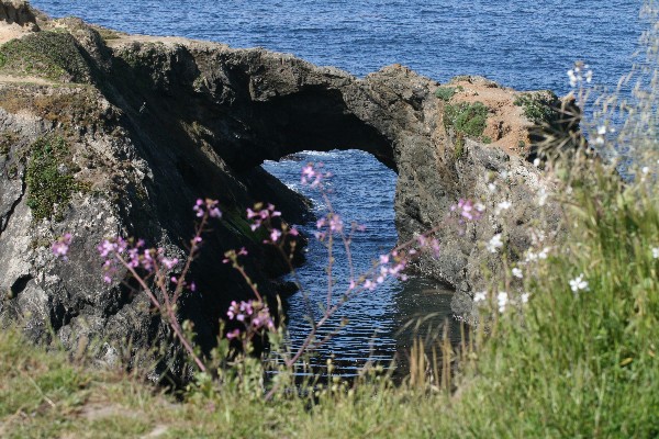 Mendocino Arch