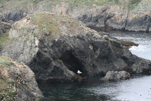 Arches of Mendocino at Headland State Park