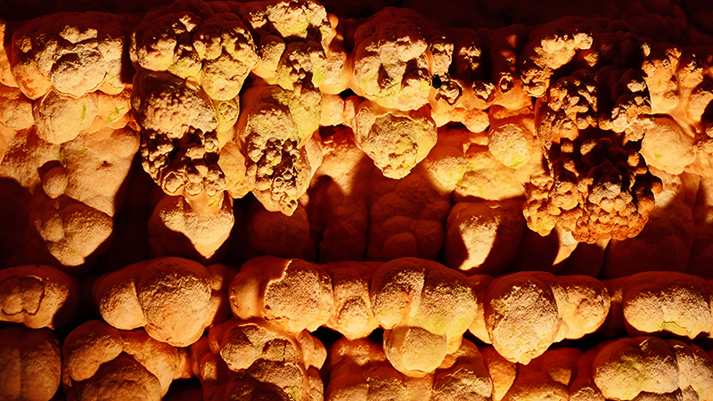 Meramec Caverns