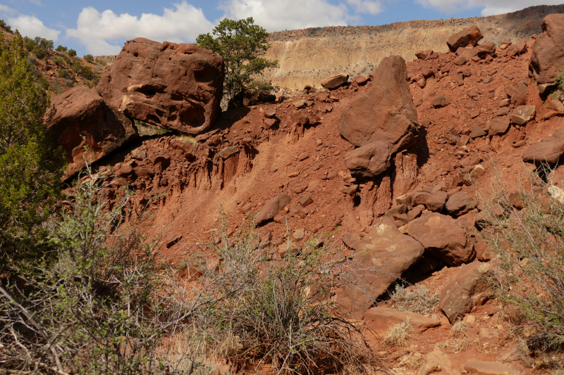 USA Hiking Database: Bilder Mesa de los Datiles [Canyon de San Diego - Santa Fe National Forest] - Pictures Mesa de los Datiles [Canyon de San Diego - Santa Fe National Forest]