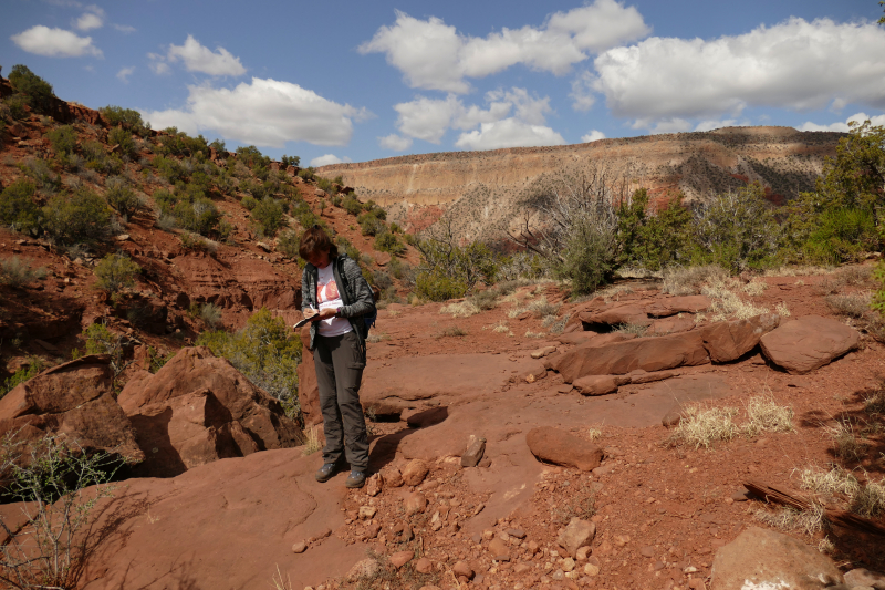 USA Hiking Database: Bilder Mesa de los Datiles [Canyon de San Diego - Santa Fe National Forest] - Pictures Mesa de los Datiles [Canyon de San Diego - Santa Fe National Forest]