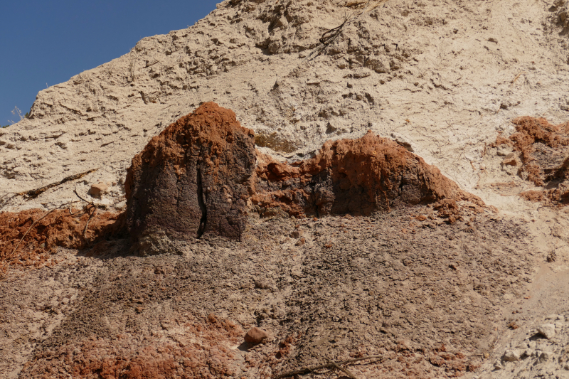 Mesa de los Datiles [Canyon de San Diego - Santa Fe National Forest]