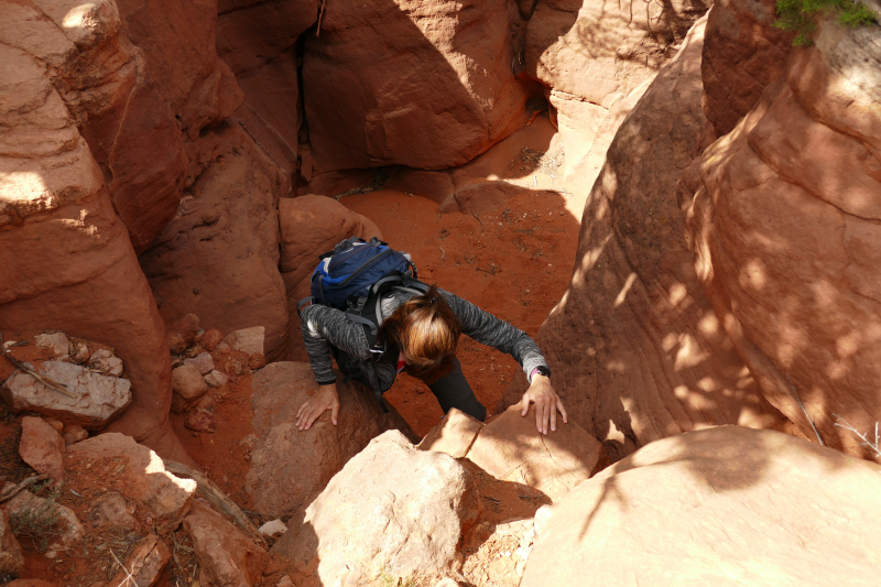 USA Hiking Database: Bilder Mesa de los Datiles [Canyon de San Diego - Santa Fe National Forest] - Pictures Mesa de los Datiles [Canyon de San Diego - Santa Fe National Forest]