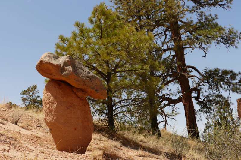 USA Hiking Database: Bilder Mesa de los Datiles [Canyon de San Diego - Santa Fe National Forest] - Pictures Mesa de los Datiles [Canyon de San Diego - Santa Fe National Forest]