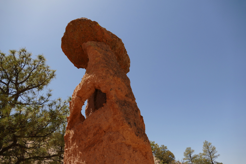 USA Hiking Database: Bilder Mesa de los Datiles [Canyon de San Diego - Santa Fe National Forest] - Pictures Mesa de los Datiles [Canyon de San Diego - Santa Fe National Forest]