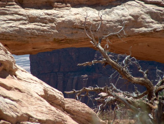 Mesa Arch