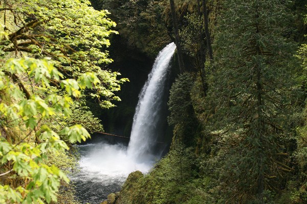 Eagle Creek - Metlako Falls, Punch Bowl Falls, Tunnel Falls, Twister Falls [Columbia River Gorge] 