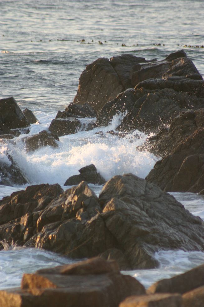 17 Mile Drive