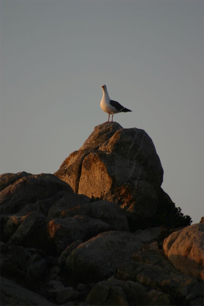 17 Mile Drive