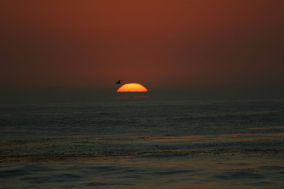 17 Mile Drive