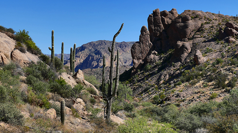 Miners Needle Trail [Superstition Mountains]