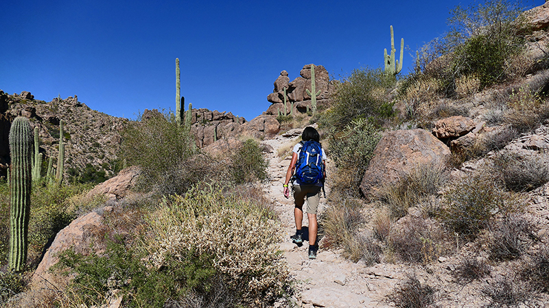 Miners Needle Trail [Superstition Mountains]