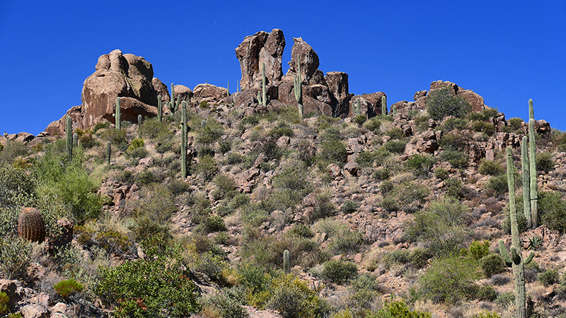 Miners Needle Trail [Superstition Mountains]