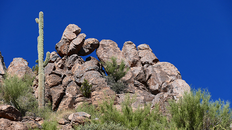 Miners Needle Trail [Superstition Mountains]