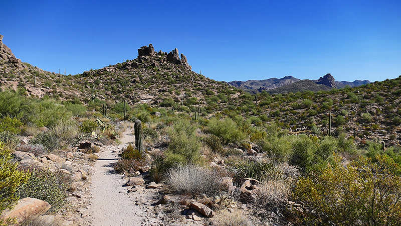Miners Needle Trail [Superstition Mountains]