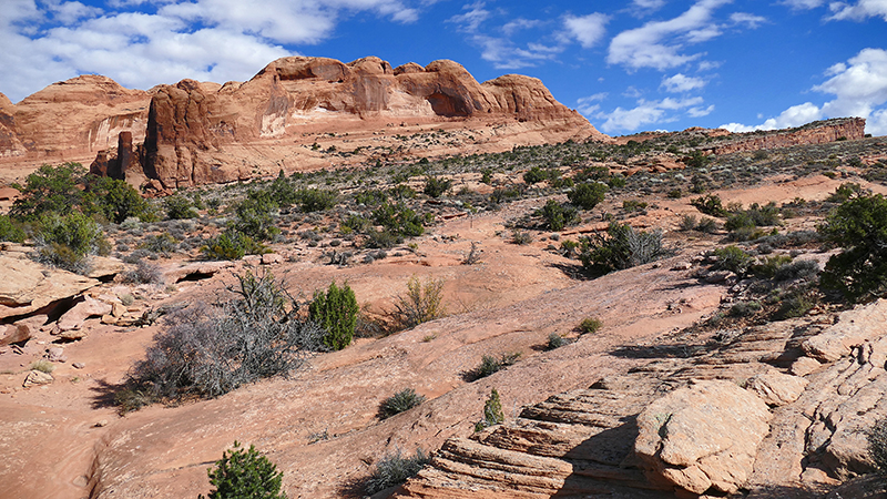 Moab Rim [Southeast of the Portal]