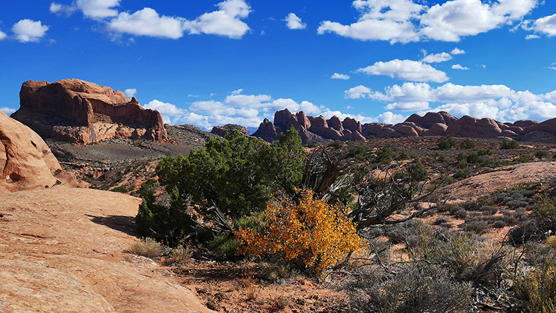 Moab Rim [Southeast of the Portal]