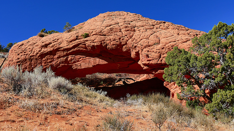 Moby Dick Arch [Coyote Buttes North]